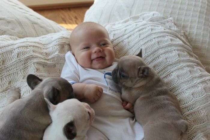 Baby and Puppies