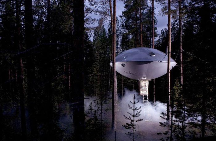 The Most Amazing Treehouses
