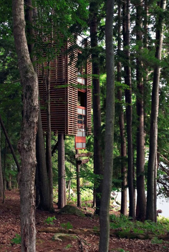 The Most Amazing Treehouses
