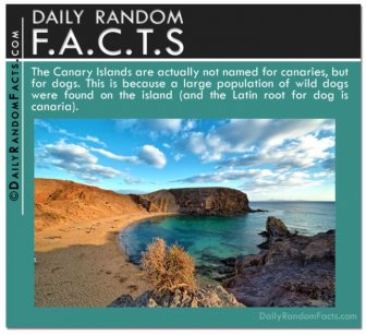 Random Facts