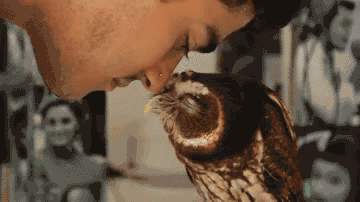 Daily GIFs Mix, part 289
