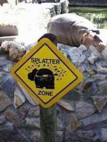 Funny and Strange Signs