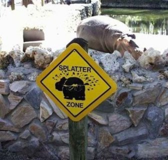 Funny and Strange Signs