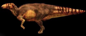 72 Million-Year-Old Dinosaur Remains