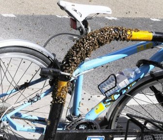 Extreme Way to Protect Your Bike from the thieves 