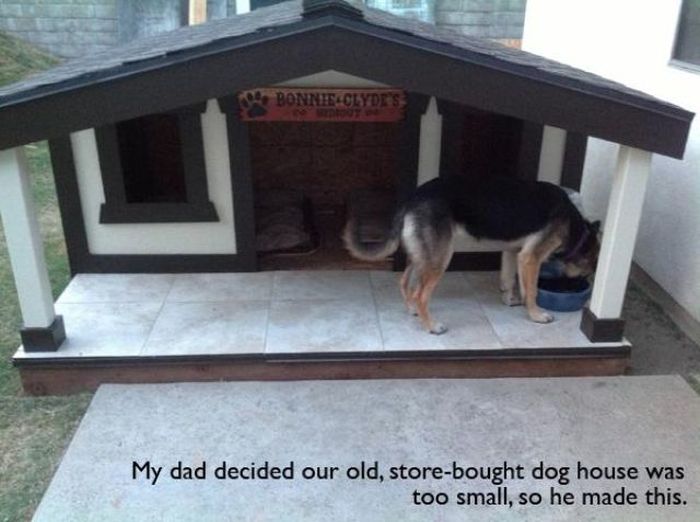 Awesome Pet Owners