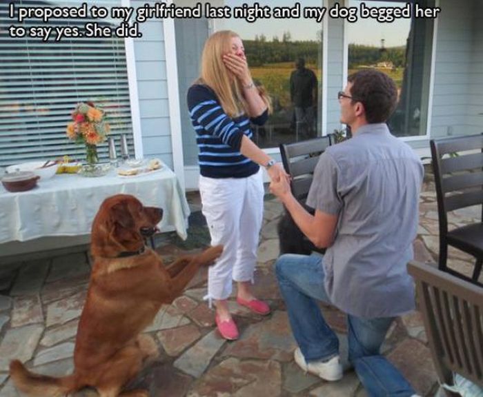 Awesome Pet Owners