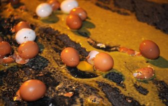 100,000 Eggs Smashed