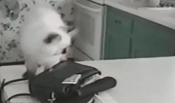 Daily GIFs Mix, part 297