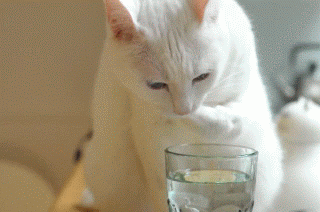 Daily GIFs Mix, part 297