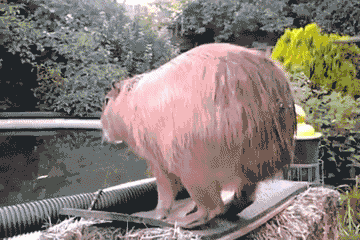 Daily GIFs Mix, part 298