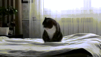 Daily GIFs Mix, part 302