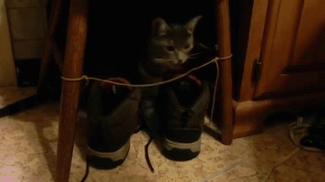 Daily GIFs Mix, part 305