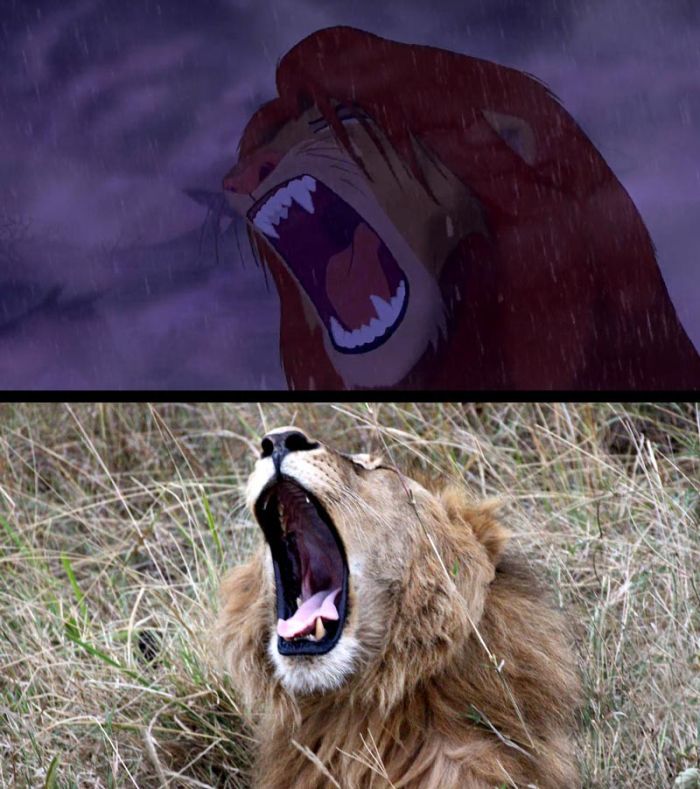 The Lion King in Real Life