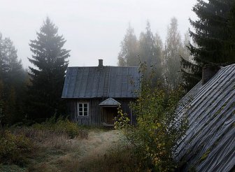 Abandoned House in the Woods Taken Over by Wild Animals