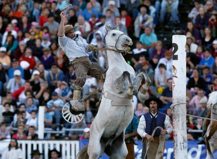 Gaucho, the Argentinian Cowboys 