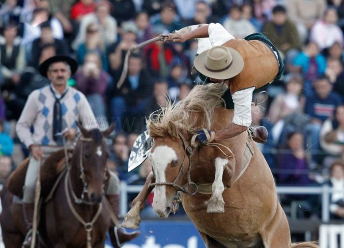Gaucho, the Argentinian Cowboys 