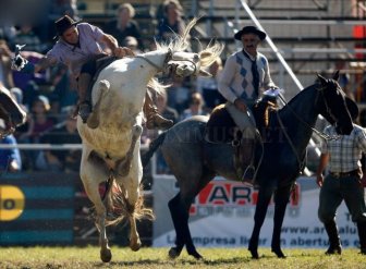 Gaucho, the Argentinian Cowboys 