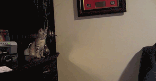 Daily GIFs Mix, part 309
