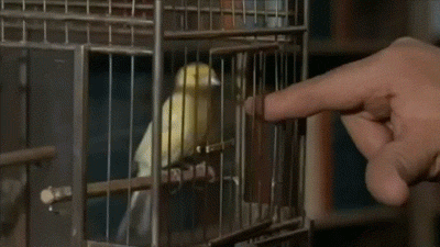 Daily GIFs Mix, part 313