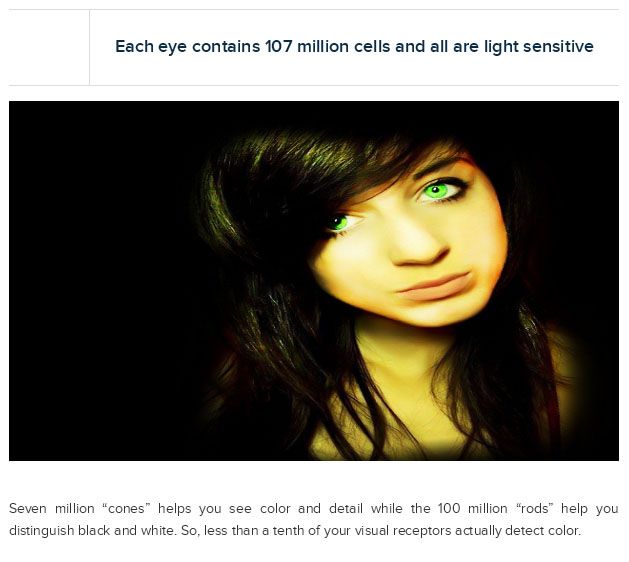 Interesting Facts About Your Eyes