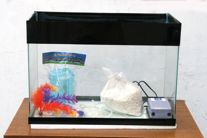 Fish Tank Made Out of an Old TV