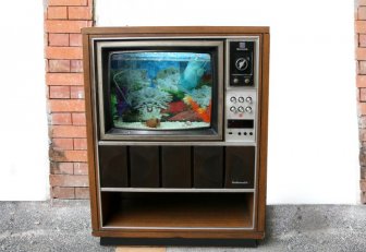 Fish Tank Made Out of an Old TV