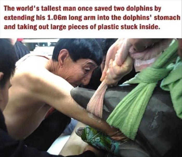 Faith in Humanity Restored, part 3