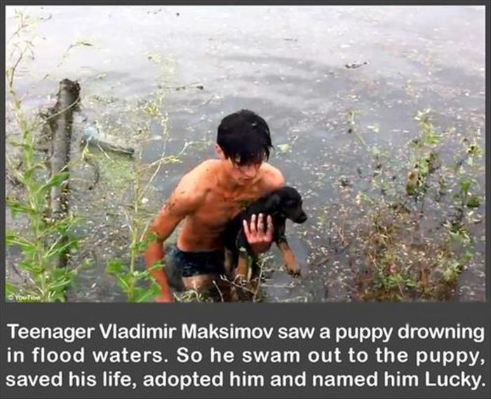 Faith in Humanity Restored, part 3