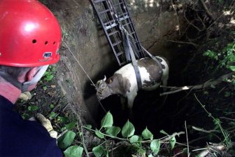 Pictures of Sinkholes