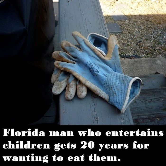 Misadventures Of Florida Man