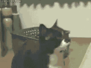 Daily GIFs Mix, part 322