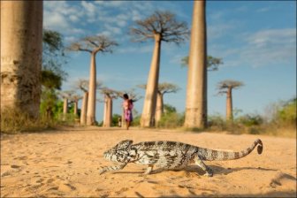 The Best of National Geographic 2013