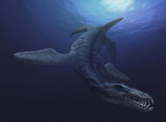 Strange Creatures That Existed in Prehistoric Times