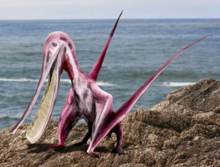 Strange Creatures That Existed in Prehistoric Times
