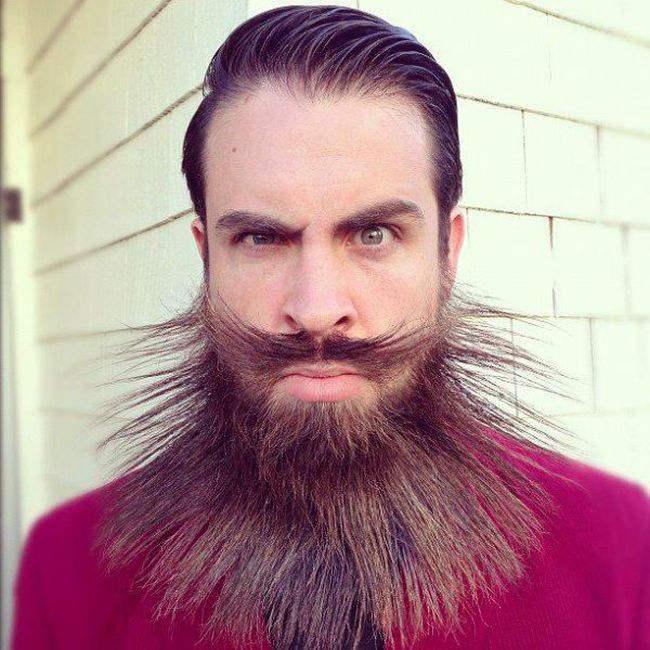 Incredible Beard