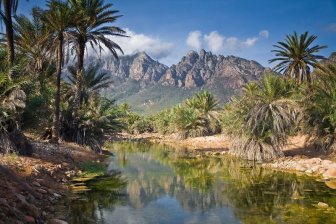 The amazing island of Socotra