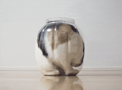 Daily GIFs Mix, part 327