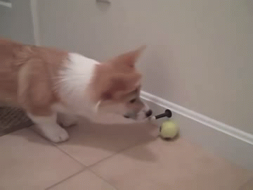 Daily GIFs Mix, part 328