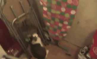 Daily GIFs Mix, part 328