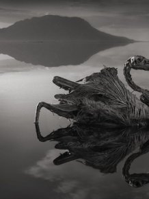 Amazing and Deadly Lake Natron in Tanzania