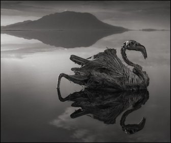 Amazing and Deadly Lake Natron in Tanzania