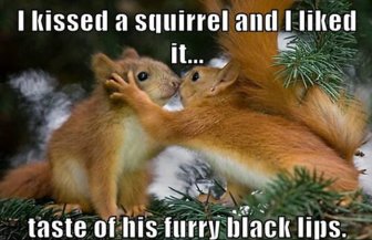 Replace it with Squirrel