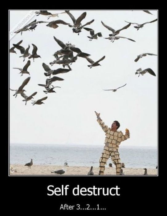 Funny Demotivational Posters, part 201