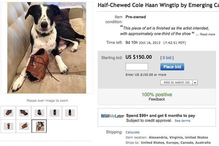 How to Sell Shoes Chewed by Dog