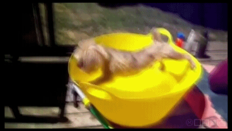 Daily GIFs Mix, part 335