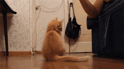 Daily GIFs Mix, part 335
