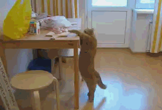 Daily GIFs Mix, part 337
