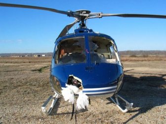 Helicopter vs Birds