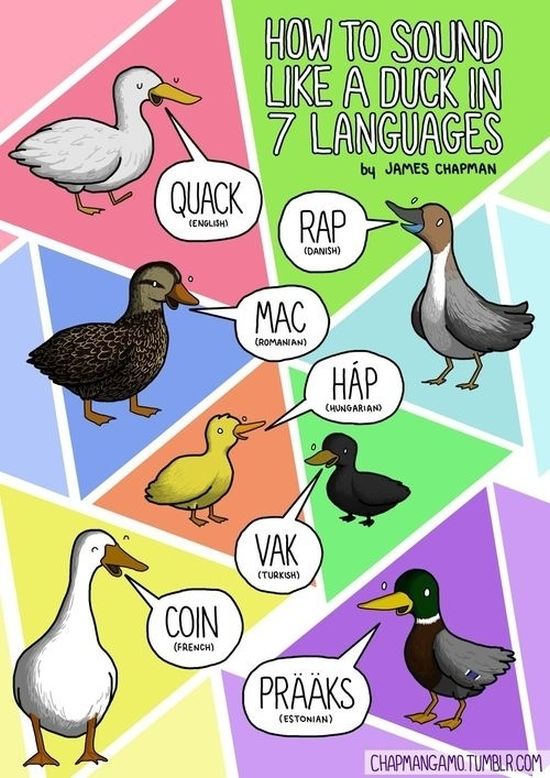 What Noises Animals Make In Other Languages